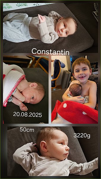 Constantin