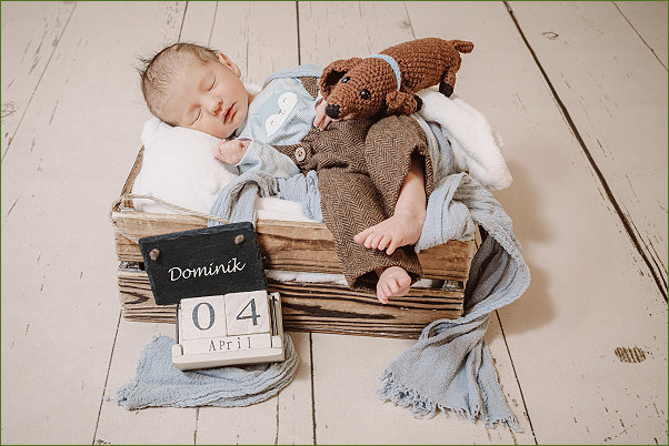 Dominik, Foto Lisa Kohler