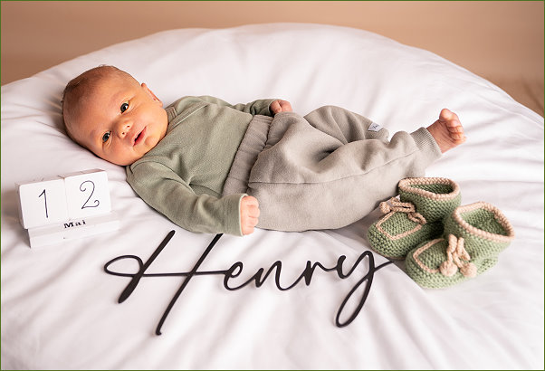 Henry, Foto Stefanie A. Photography