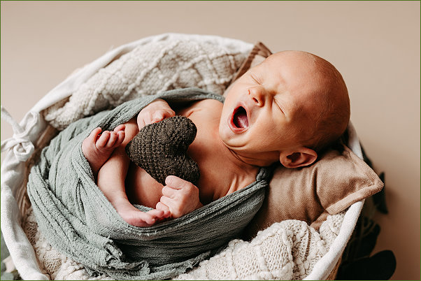 Matteo Sebstian, Foto Barbara Riedmann